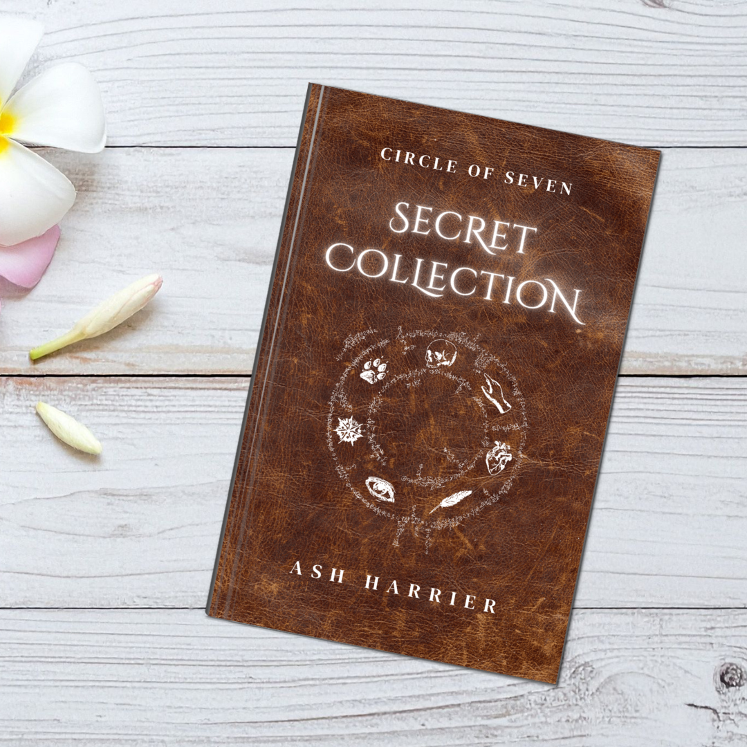 Secret Collection paperback