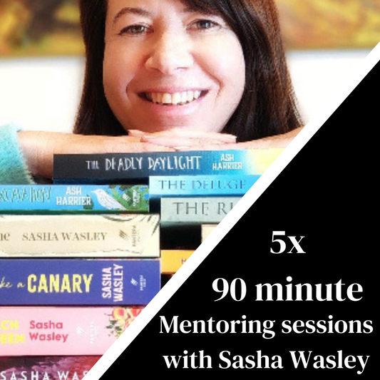 Mentoring with Sasha Wasley - 5 sessions