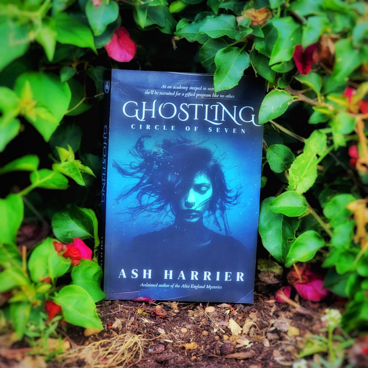 Ghostling Paperback Preorder