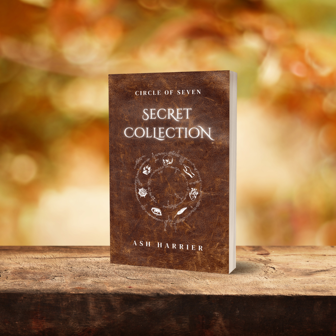 Secret Collection paperback